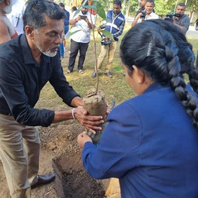 රුක් රෝපණ වැඩසටහන - 2025
